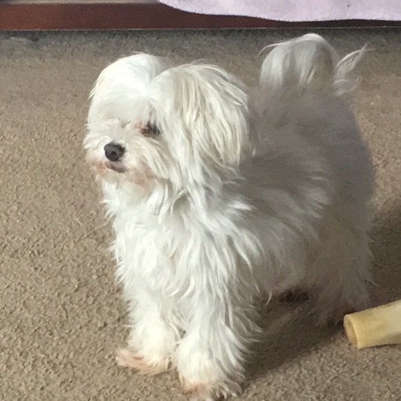 Meet the Posher Other - Meet your Posher, Heather